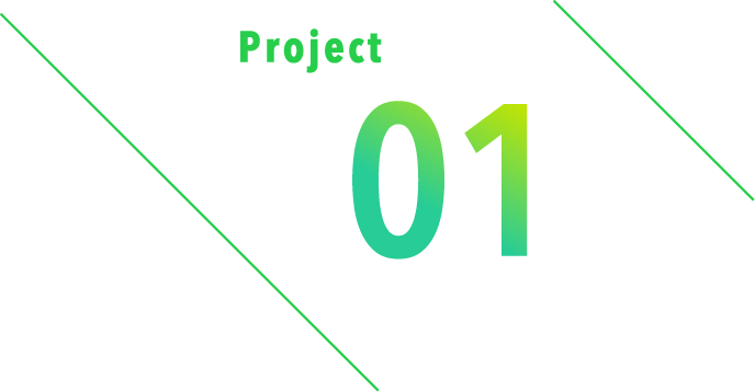 Project01